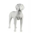 Image 0 : Manichino bianco opaco per cani ...