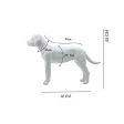 Image 1 : Manichino bianco opaco per cani ...