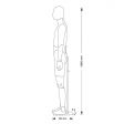 Image 2 : Maniqui flexible hombre en EPP ...