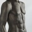 Image 4 : Mannequin de vitrine homme en ...