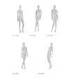 Image 5 : Mannequin de vitrine artistique, id ...