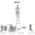 Image 2 : Mannequin vitrine homme en r ...