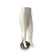 Image 5 : Weißes weibliches Modell Beine ...