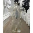 Image 1 : Buste femme transparent.