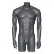 Image 0 : Torso manichino uomo finestra-Grigio ...