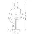 Image 1 : Torso masculino de maniqui flexible ...