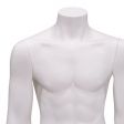 Image 2 : Busto de hombre blanco con ...