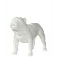 Image 4 : Modell Hund Bulldogge in stehender ...
