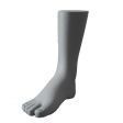 Image 1 : Men's foot grey similar ...