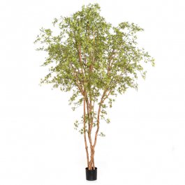 MATERIEL AGENCEMENT MAGASIN - PLANTES ARTIFICIELLES ET POTS D&eacute;CORATIFS MAGASINS : &Eacute;rable japonais artificiel 330 cm d&eacute;coration magasin