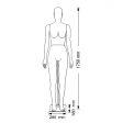 Image 1 : Carbon flexible female mannequins in ...