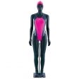 Image 4 : Flexible female mannequin back color ...
