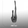 Image 0 : Gray vertical female mannequin legs ...