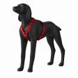 Image 3 : Large matt black dog mannequin ...