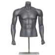 Image 0 : Male Bust form with muscles ...