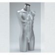Image 2 : Torso man with legs, without ...