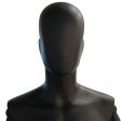 Image 5 : Half bust of male display ...