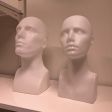 Image 4 : Male display mannequin head in ...