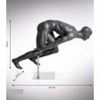 Image 3 : Male display mannequin swimming, Olympic ...