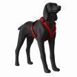 Image 4 : Manichino a forma di cane ...