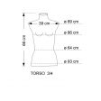 Image 1 : Torso modello donna in colore ...