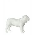 Image 5 : Modelo de perro bulldog en ...