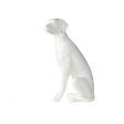 Image 0 : Modelo perro blanco, perfecto para ...