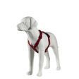 Image 4 : Mannequin chien blanc mat en ...