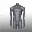 Image 1 : Torso mannequin man window -Grey ...