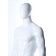 Image 7 : Mannequin vitrine homme economique. Mannequin ...