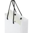 Image 5 : Paper bag 170g, plastic handles ...