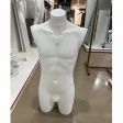 Image 1 : Male white buste to put ...