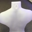 Image 1 : Male bust in white plastic ...