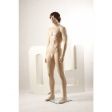 Image 3 : Realistic male mannequin without brown ...