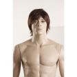 Image 4 : Realistic male mannequin without brown ...