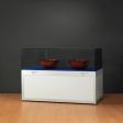 Image 0 : Silber Vitrine mit Glas-Kuppel ...