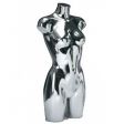 Image 0 :  Silver female plastic bust.