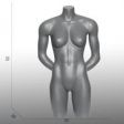 Image 1 : Ral 7024 graue Sportfrau Torsos ...