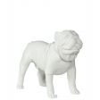 Image 6 : Bulldog dog model in standing ...