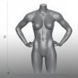 Image 1 : Buste torso femme sport avec ...