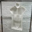 Image 2 : White male mannequin bust with ...