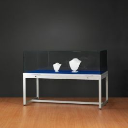 LADENAUSSTATTUNG : Silber vitrine mit dome glas in der h&ouml;he