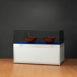 LADENAUSSTATTUNG : Silber vitrine mit kuppel aus silber 100cm